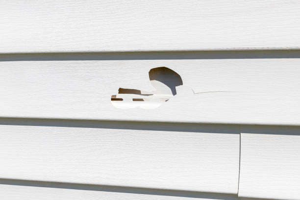 Best Construction Debris Removal  in Lanai City, HI